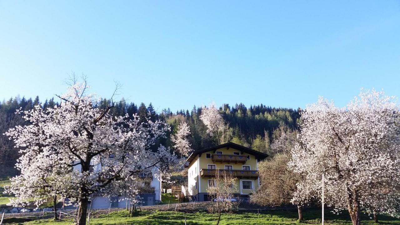 Ferienhaus Karin Fusch an der Glocknerstraße Extérieur photo